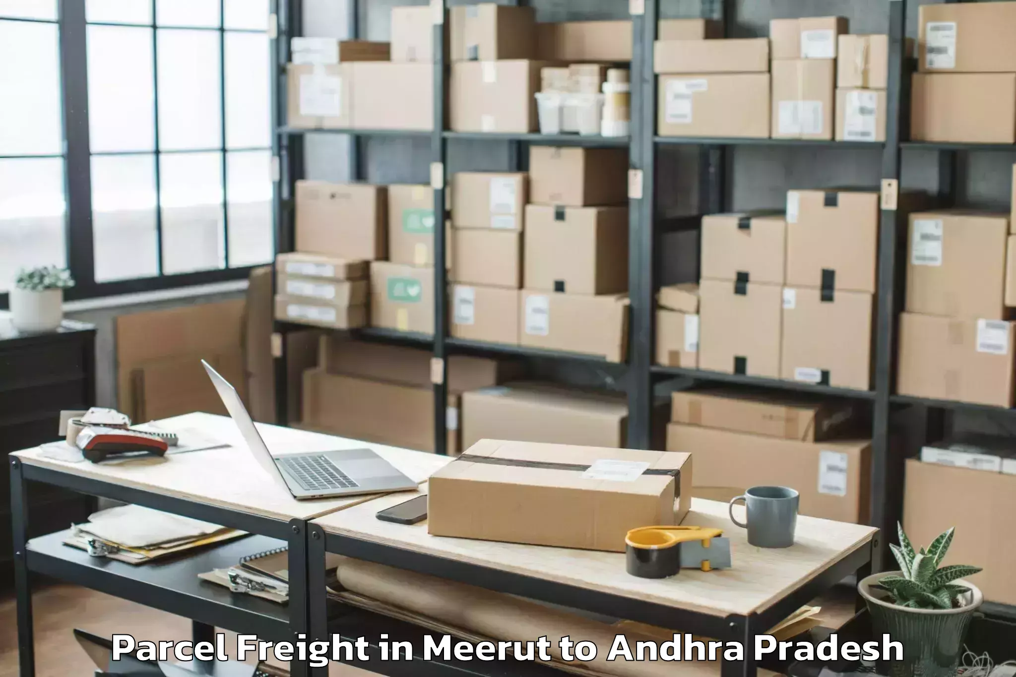 Quality Meerut to Nadendla Parcel Freight